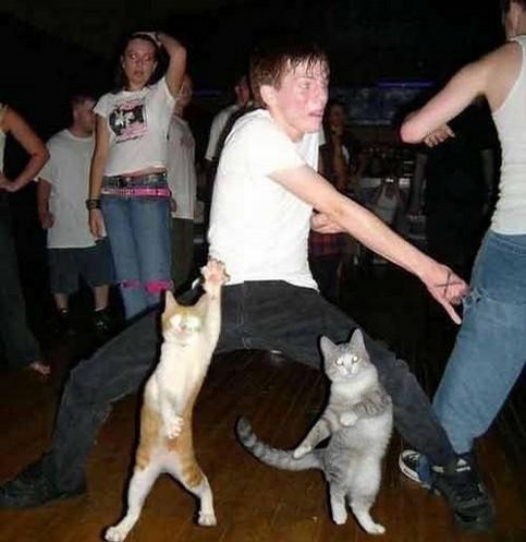 2432-dancing-with-pussies.jpg