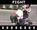 Fight Videos
