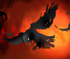 Crow In Hell Affliction