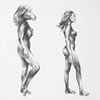 funny picture about female evolution