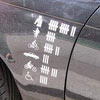 funny statistics painted on the car