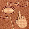 fun Crop Circle picture