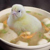 this is real chicken soup